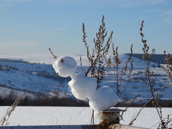 White birds on snow covered landscape