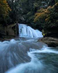 Scenic view of waterfall in forest