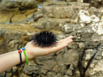 Hand holding rock