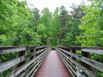 Bridge in forest