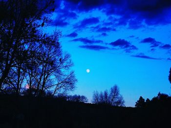 Low angle view of silhouette trees against blue sky at dusk