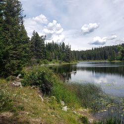 Scenic view of lake in forest against sky