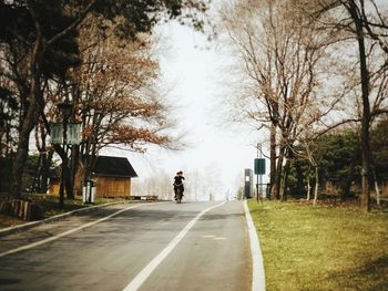 Road amidst bare trees in city