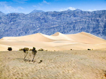 Scenic view of desert