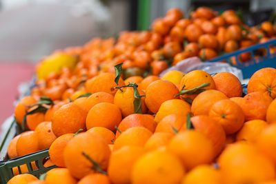 Close-up of fruits for sale at market stall