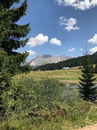 Scenic view of field against sky