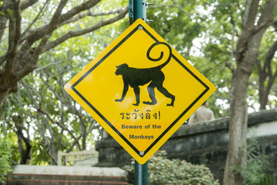 Close-up of road sign against trees