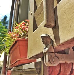 Low angle view of plants