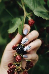 Close-up of woman holding fruits