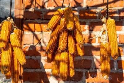 Close-up of yellow fruits hanging