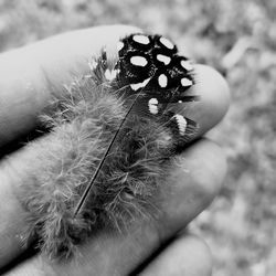 Close-up of hand holding leaf