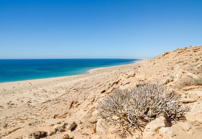 Scenic view of beach against clear blue sky