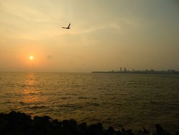 Scenic view of eagle in the sky  during sunset