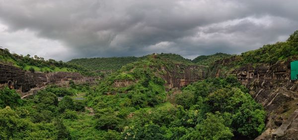 Panoramic view of trees and plants against cloudy sky