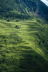 Scenic view of landscape