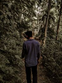 Rear view of man walking in forest