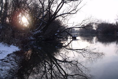 Bare tree by lake against sky during winter