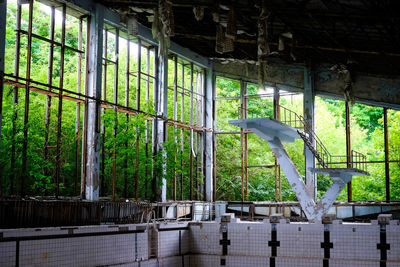 Bird in greenhouse