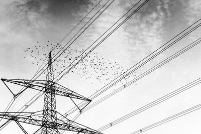 Low angle view of birds flying against sky