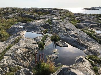 High angle view of rock formation amidst trees against sky