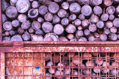 Stack of logs in forest