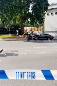 Cars on road against trees