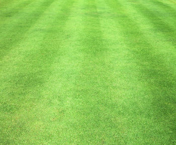 Full frame shot of soccer field