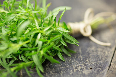 Close-up of herbs on table