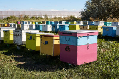 apiary