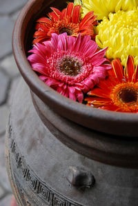 Close-up high angle view of flower