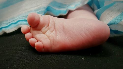 Low section of baby feet