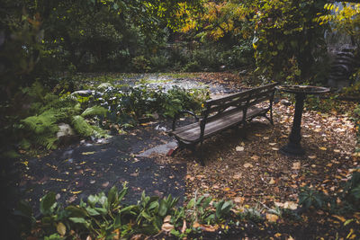 View of trees in park