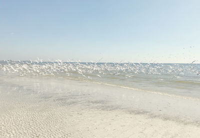 Scenic view of sea against clear sky