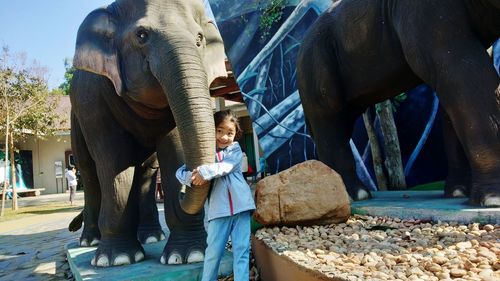 Low angle view of elephant in traditional clothing