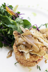 Close-up of food served in plate