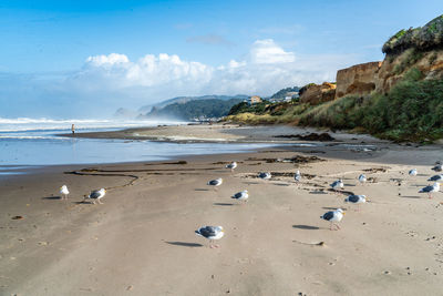 Scenic view of beach against sky