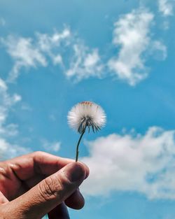 Hand holding dandelion against sky