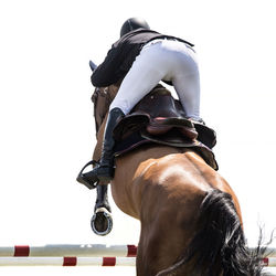 Rear view of person jumping with horse in competition