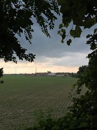 Scenic view of field against sky