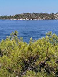 Scenic view of sea against clear sky