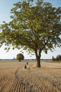 Scenic view of agricultural field against sky