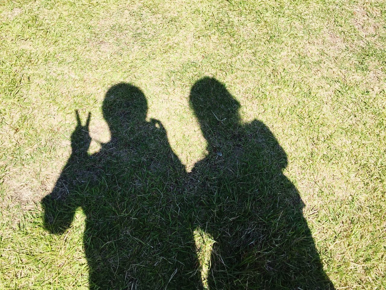 shadow, focus on shadow, grass, lifestyles, leisure activity, high angle view, sunlight, men, bonding, togetherness, field, love, outdoors, day, unrecognizable person, grassy, standing