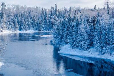 Frozen lake in forest during winter