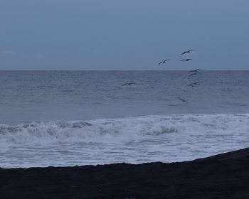 View of birds flying over sea