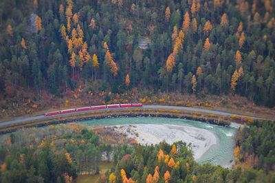 High angle view of road amidst trees during autumn