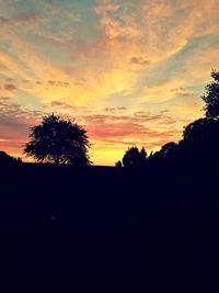 Silhouette of trees at sunset