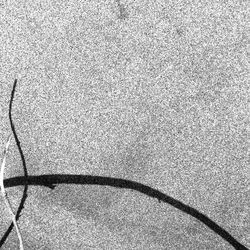 Full frame shot of tiled floor