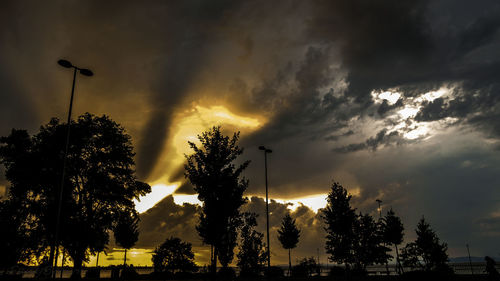 Silhouette of trees at sunset