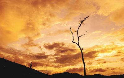 Low angle view of silhouette bare tree against dramatic sky