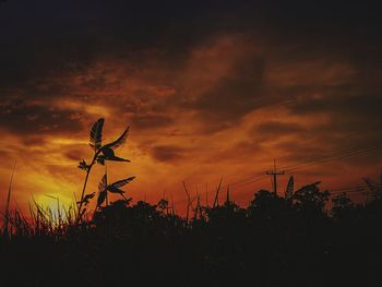 Silhouette plants against sky during sunset